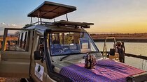 Day Trip to Mikumi National Park: Fly-in from Zanzibar