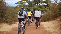 Moshi Bike Tours 