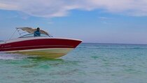 PRIVATE TOUR ! 4-Hours Swiming with dolphins, snorkeling, island by speed boat