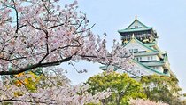 Osaka 6 hr Private Tour: English Speaking Driver Only, No Guide