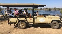 Rhino Game Drive
