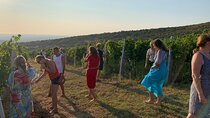 Private Tour, Wine Tasting, Ardenica Monastery, Durres. Car & Driver included
