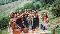 From Bologna: Verona and Valpolicella Day Tour