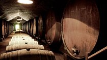 Full-Day Private South Bay Wine Experience from Lisbon
