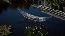 Matakana Art & Vineyard Experience incl. Lunch & Wine Tasting Tour From Auckland