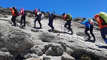 Private 8-Day Kilimanjaro Trek on Lemosho Route from Moshi