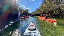 Adelaide Dolphin Sanctuary and Ships Graveyard Kayak Tour