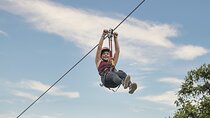 Canopy Zipline en la jungla desde Puerto Vallarta
