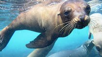 Day Tour to Santa Fe Island and Hidden Beach with snorkeling and fishing