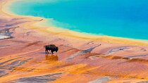 Private 2-Day Yellowstone Tour - Upper and Lower Loop