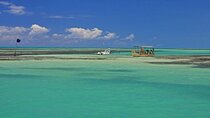 Excursion to Paripueira Beach from Maceió