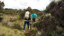 Day Hike to Mount Kilimanjaro, Chagga Culture & local Experience