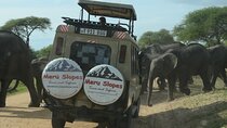 Tarangire National Park Private Day Tour