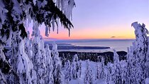 Snowshoeing In Vancouver's Winter Wonderland