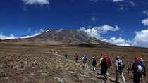 5 Days Marangu Route Kilimanjaro Climbing