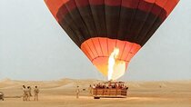 Enjoy Beautiful Desert By Hot Air Balloon & Falcon Show