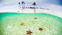 3 Days in San Blas Islands! Beach & Jungle Tour includes La casa de papel
