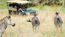 Hwange Day Trip