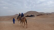 Camel Safari at Agafay Desert with Lunch