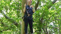 Zip Lining and Canopy Tree Tour in Rio de Janeiro