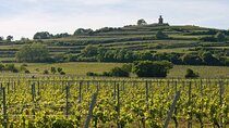 Rhein Castles & Tasting wine along the Rhein - From Frankfurt