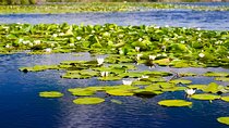 Private 8 Day Tour to Transylvania and the Danube Delta