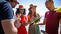 Small-Group Half-Day Languedoc Wine and Oyster Tour from Montpellier