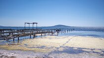 Highlights of Sète, food and wine tour