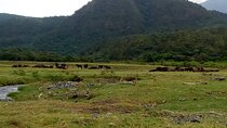 3 Days Mount Meru Trek