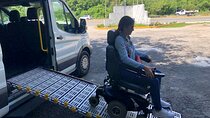 Private City-tour with Handicap van