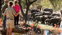 Nyerere ( Selous) National park,game drive, walking safari, & boat