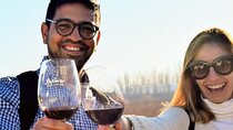 Intimate Wine Tour with Wine Pairing Lunch