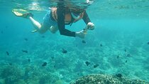 Mactan-Cebu Island Hopping Cruise with Lunch & Roundtrip Transfer