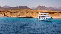 Tiran Island Full Day Snorkeling Sea trip, Lunch With Transfer - Sharm El Sheikh