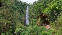 Materuni waterfalls,coffee tour & Kikuletwa(Chemka)Hot Springs