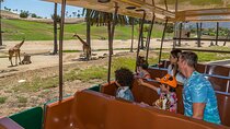 San Diego Zoo and Safari Park 2-Visit Pass Ticket