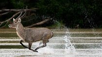 5-Days Selous Game Reserve and Mikumi National Park Tour