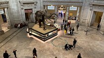 Guided Tour of Smithsonian Museum of Natural History