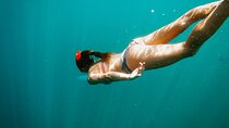 Luxury Snorkel Adventure in Cabo