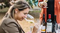Winederlust Wine Tasting