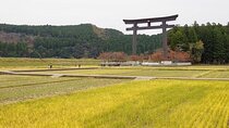 Kumanokodo 2 Day Walking Tour from Osaka
