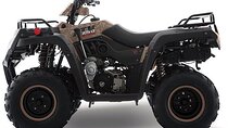 Tulum Area Experiences ATV Daily Rental