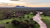 3 Days Selous Game Reserve Adventure (fly in)