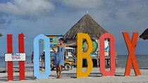 Holbox and Cenote Yalahau! Transportation from Playa Del Carmen