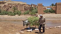 6 days tour from Casablanca to Marrakech via imperiale cities And Sahara Desert