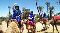Camel Ride in the Palm Grove of Marrakech