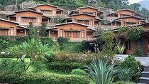 Yoga Retreat in India at Abhayaranya Yoga Ashram, Rishikesh