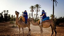 Camel Ride in the Palm Grove of Marrakech
