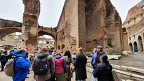 Colosseum, Palatine Hill and Roman Forum Tour with Local Guide