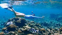 Reef Snorkeling with ATV, Zipline, Cenote that includes lunch and transportation